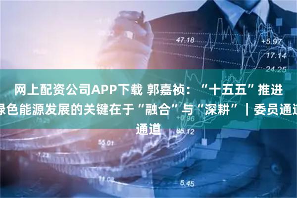 网上配资公司APP下载 郭嘉祯：“十五五”推进绿色能源发展的关键在于“融合”与“深耕”｜委员通道