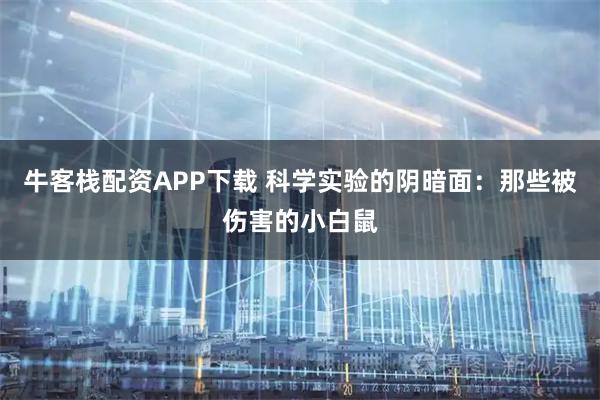 牛客栈配资APP下载 科学实验的阴暗面:那些被伤害的小白鼠